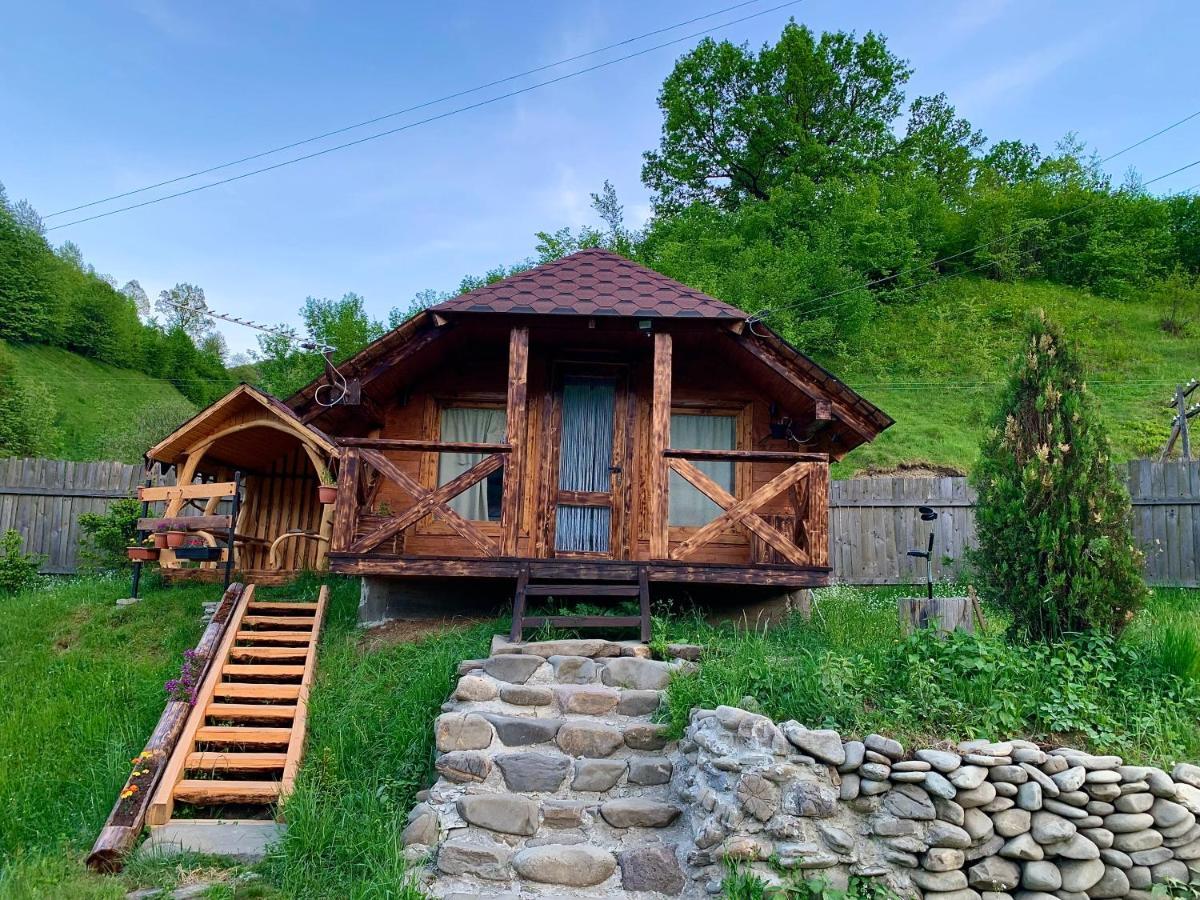 Vip-Domyk Rakhiv Extérieur photo